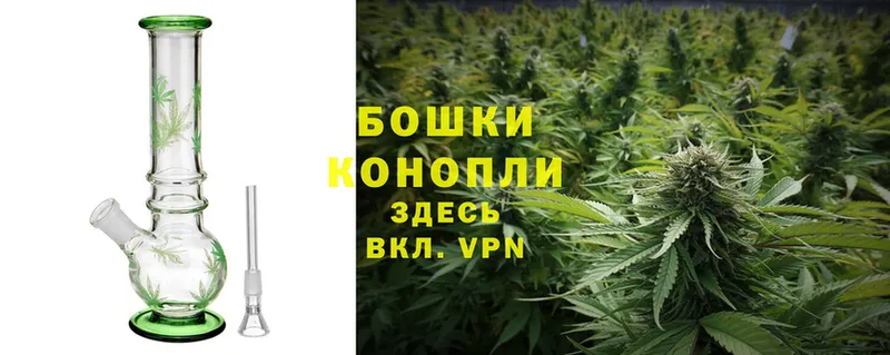 где продают наркотики  Весьегонск  гидра ONION  Бошки марихуана Bruce Banner 